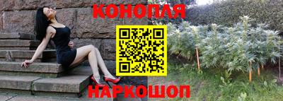 сатива Тара