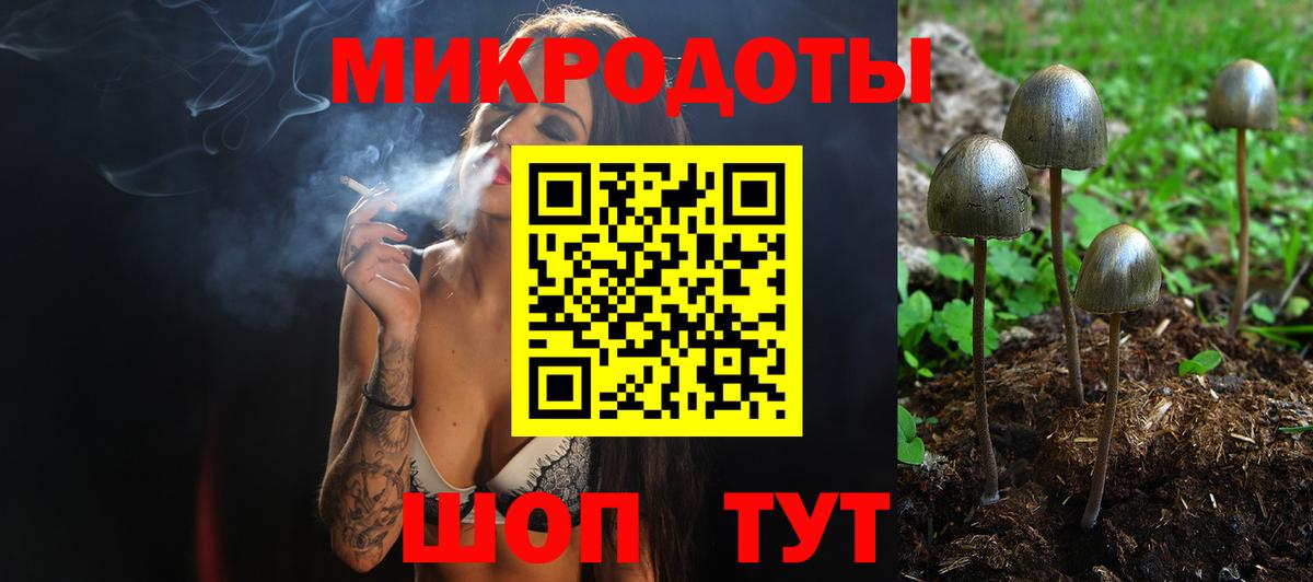 Псилоцибиновые грибы Cubensis Норильск